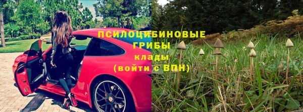 каннабис Магас